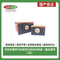四色多重荧光免疫组化染色试剂盒（鼠兔通用二抗）