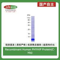 Recombinant Human PHYHIP Protein(C-His)