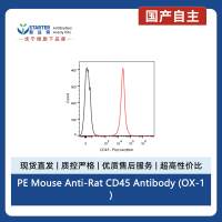 PE Mouse Anti-Rat CD45 Antibody (OX-1)
