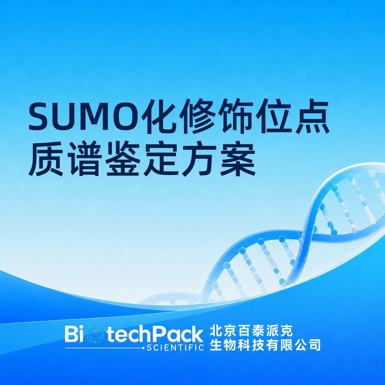 SUMO化修饰位点质谱鉴定方案