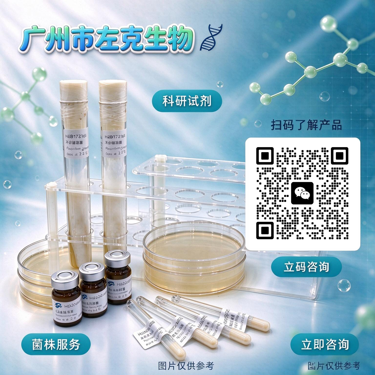 伴放线放线杆菌产品图