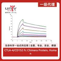 CTLA-4/CD152 Fc Chimera Protein, Human
