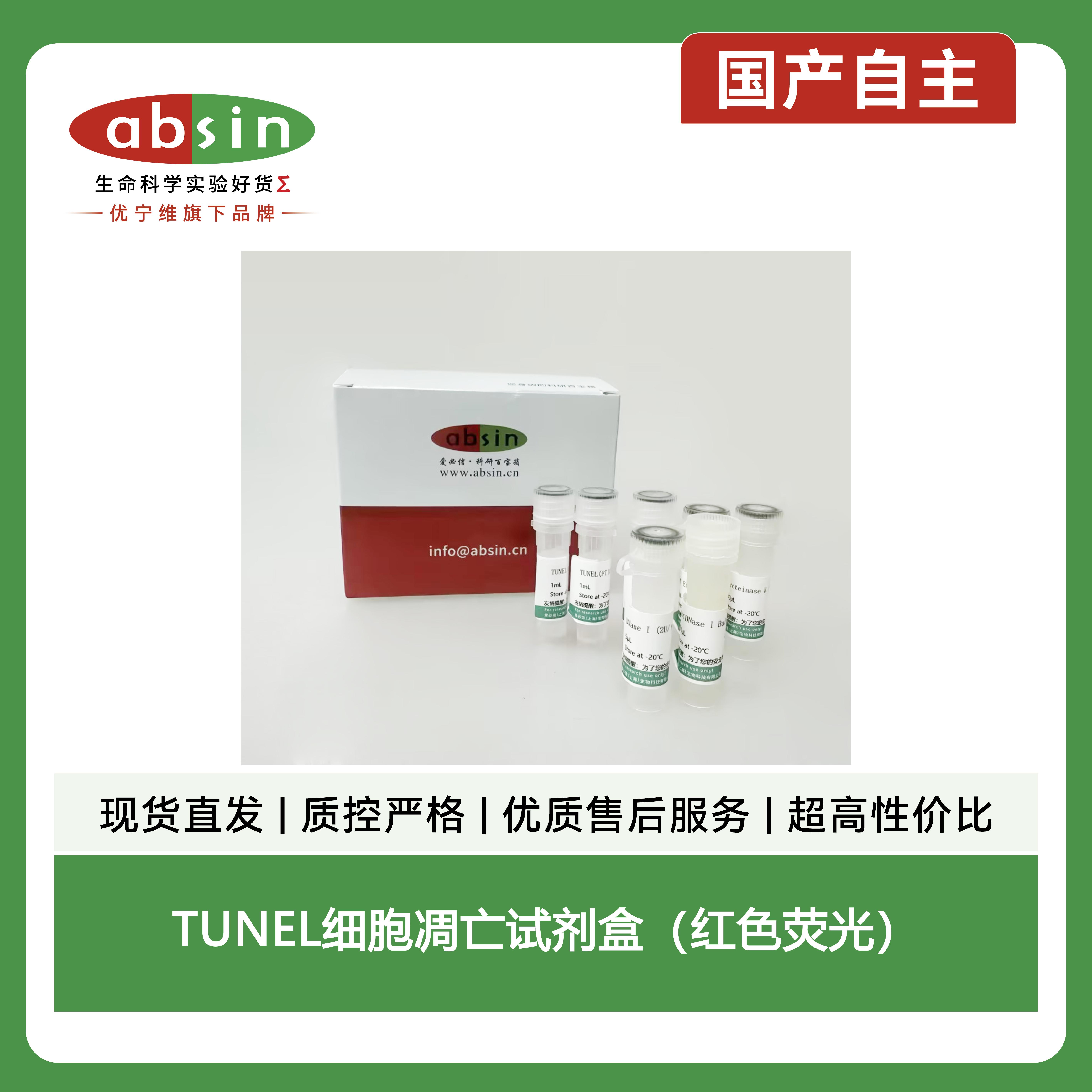 TUNEL细胞凋亡试剂盒(红色荧光)