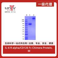IL-6 R alpha/CD126 Fc Chimera Protein, Mouse