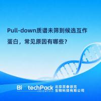 Pull-down质谱未筛到候选互作蛋白，常见原因有哪些？