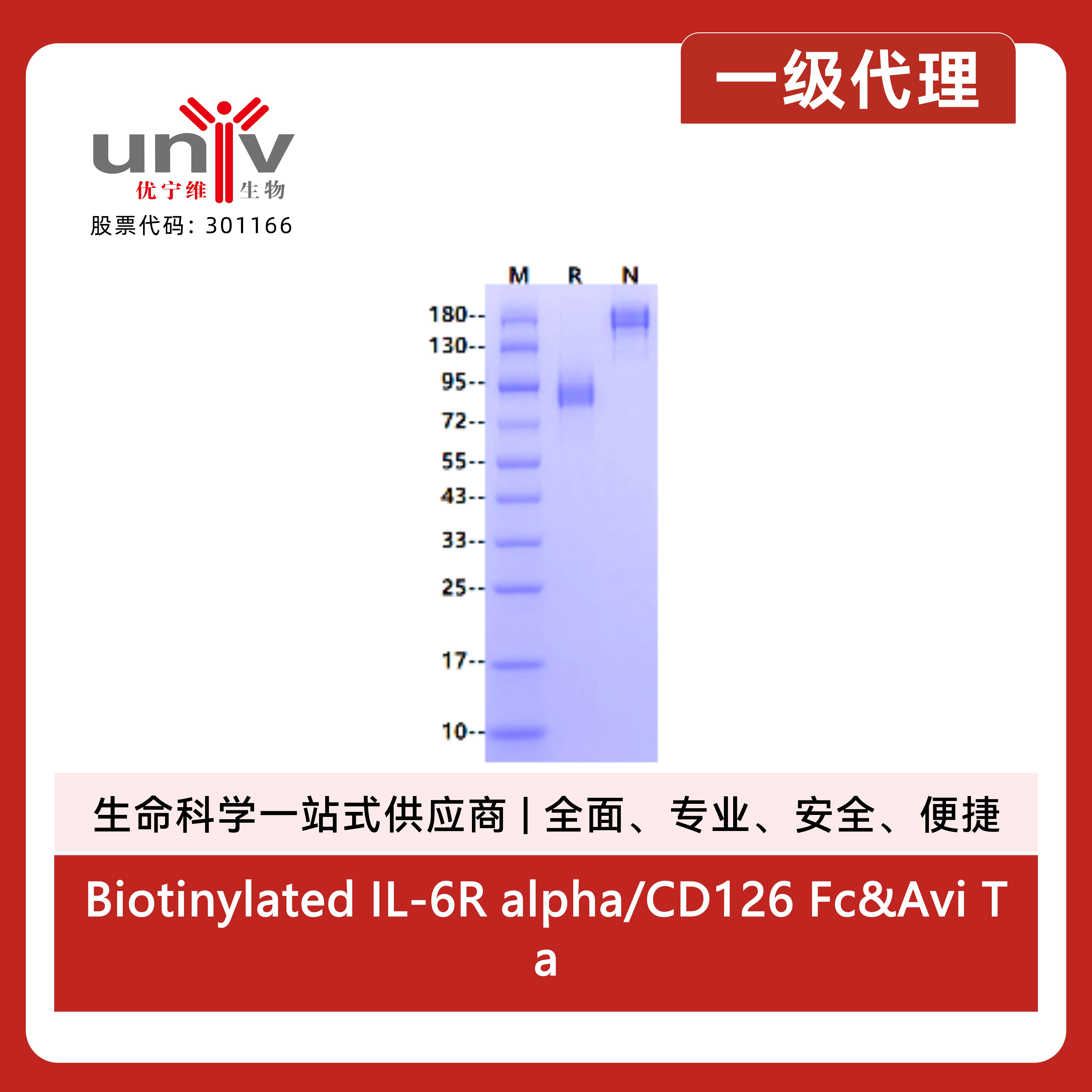产品细节图片1