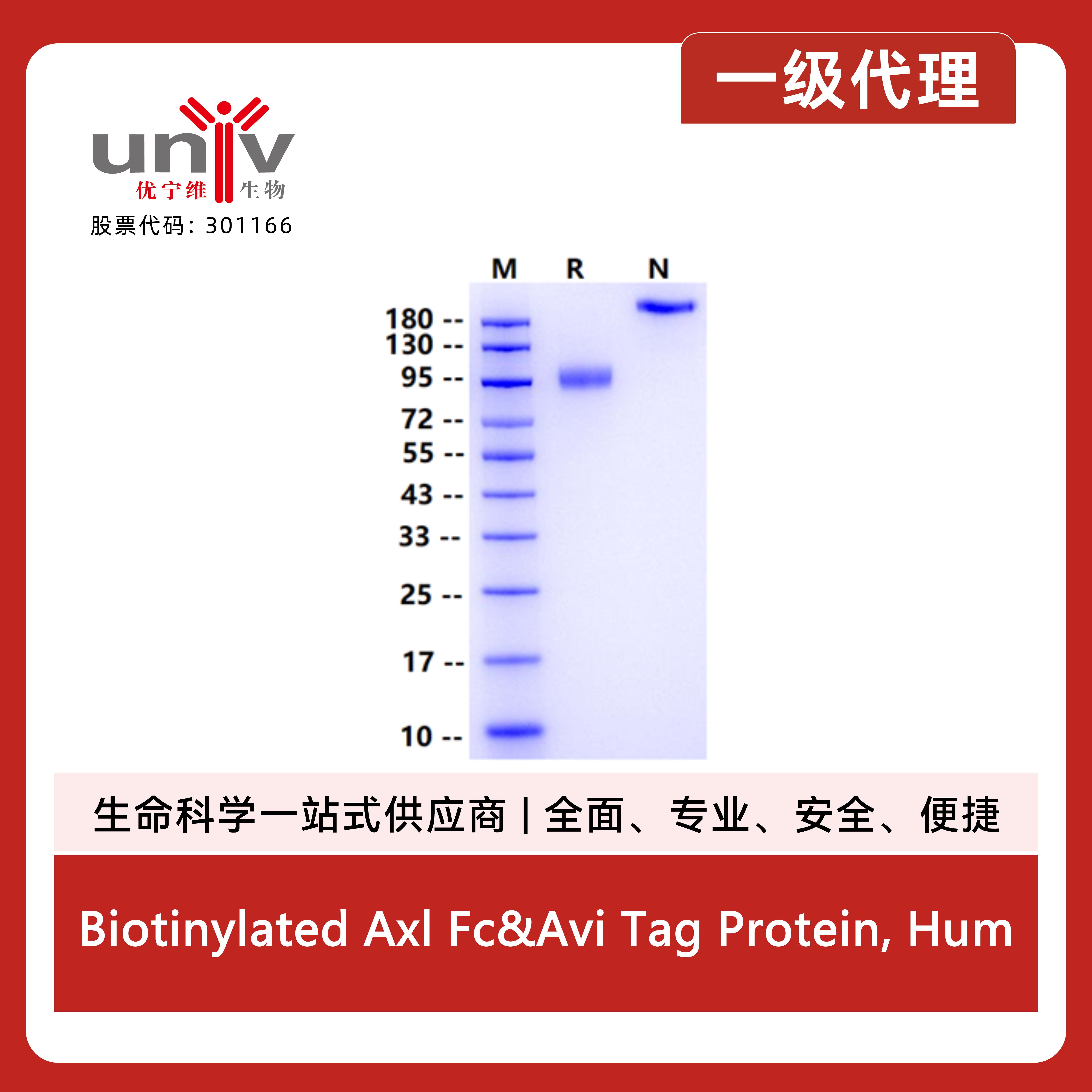 产品细节图片1