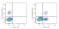 Mouse Anti-Human CD196 Antibody (S-R645)