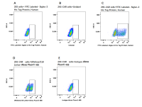 FITC-Labeled Siglec-2/CD22 His Tag Protein, Human