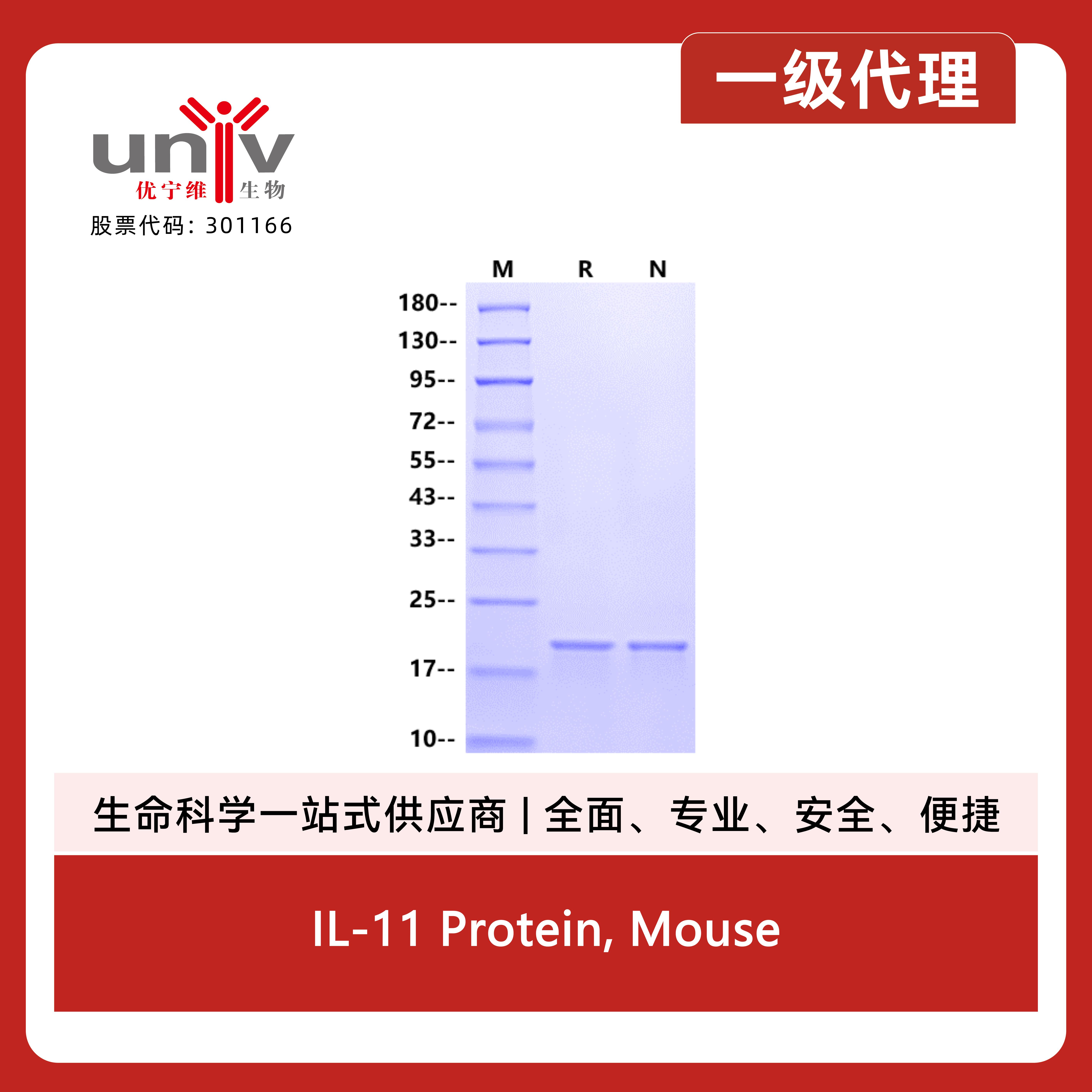 产品细节图片1