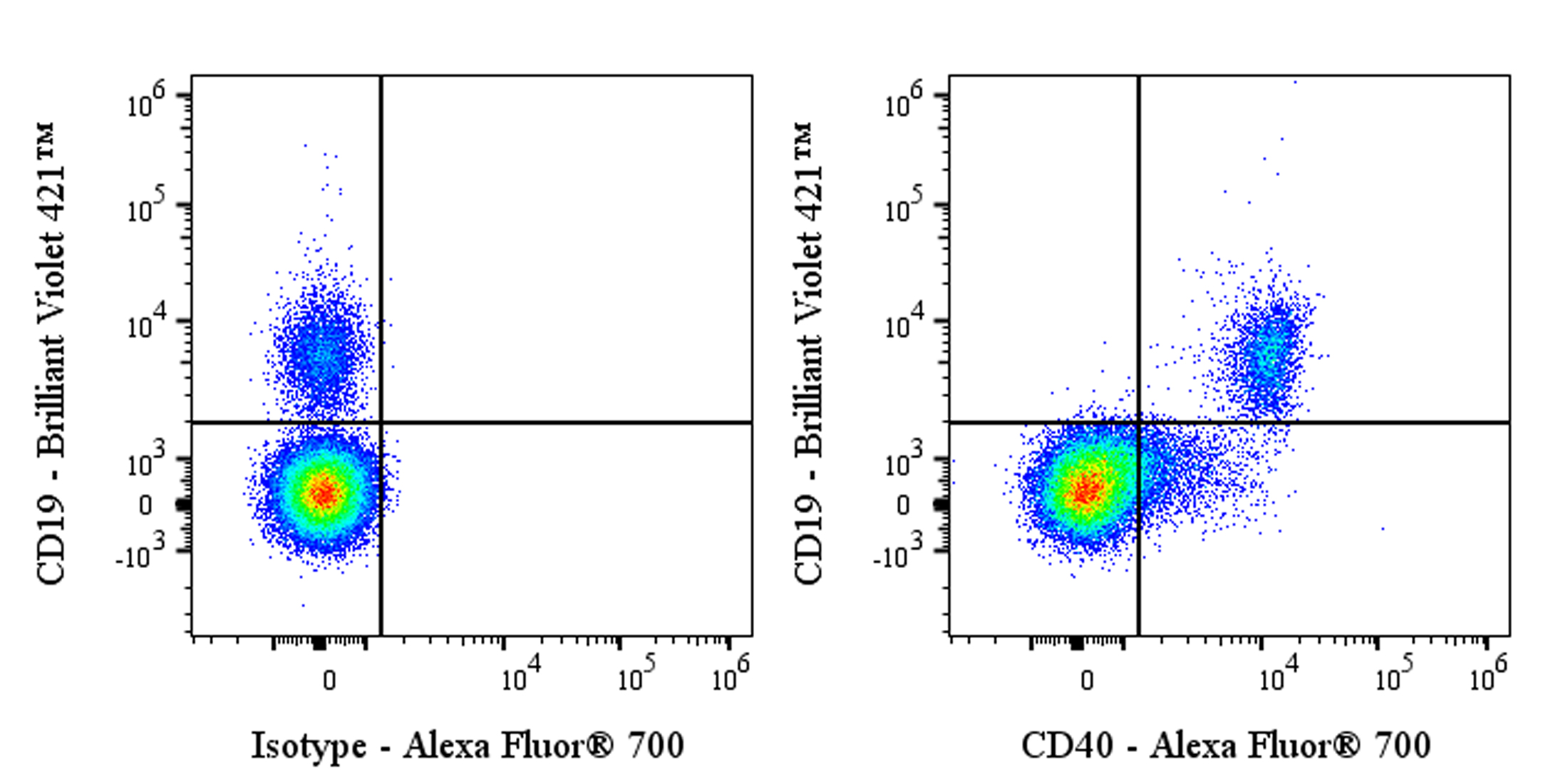 Alexa Fluor® 700 Rabbit Anti-Human CD40 Antibody (S-145-45)产品图