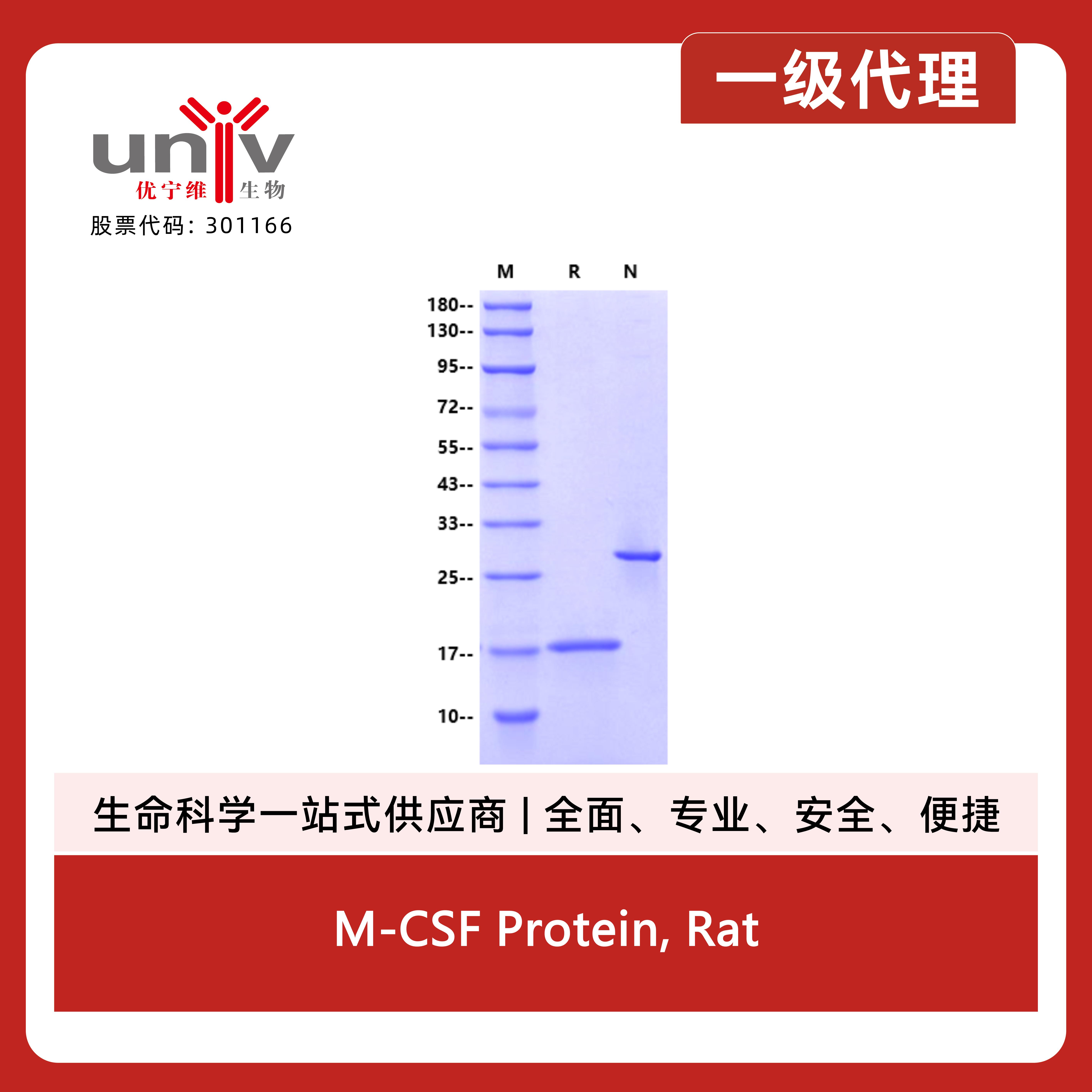 产品细节图片1