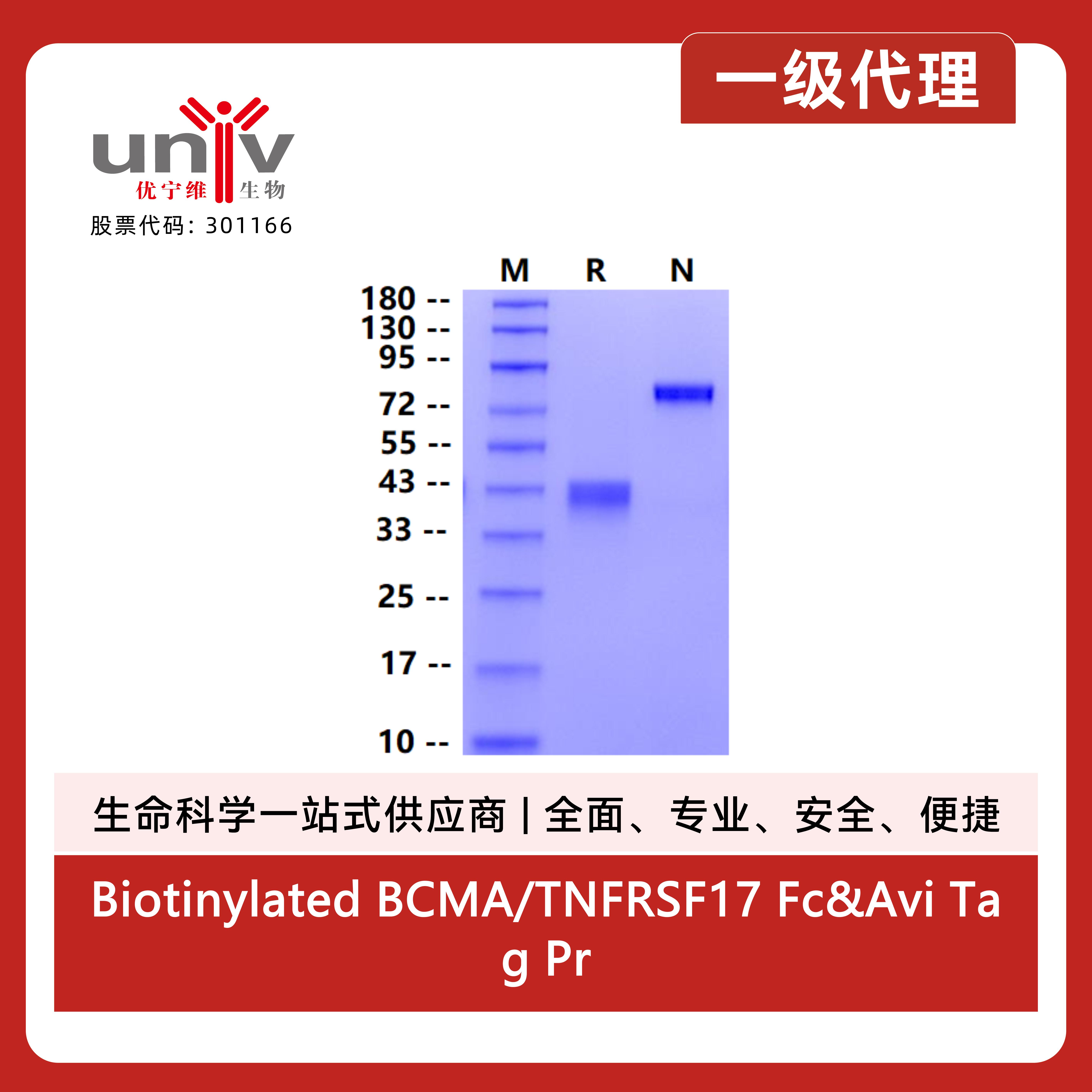 产品细节图片1