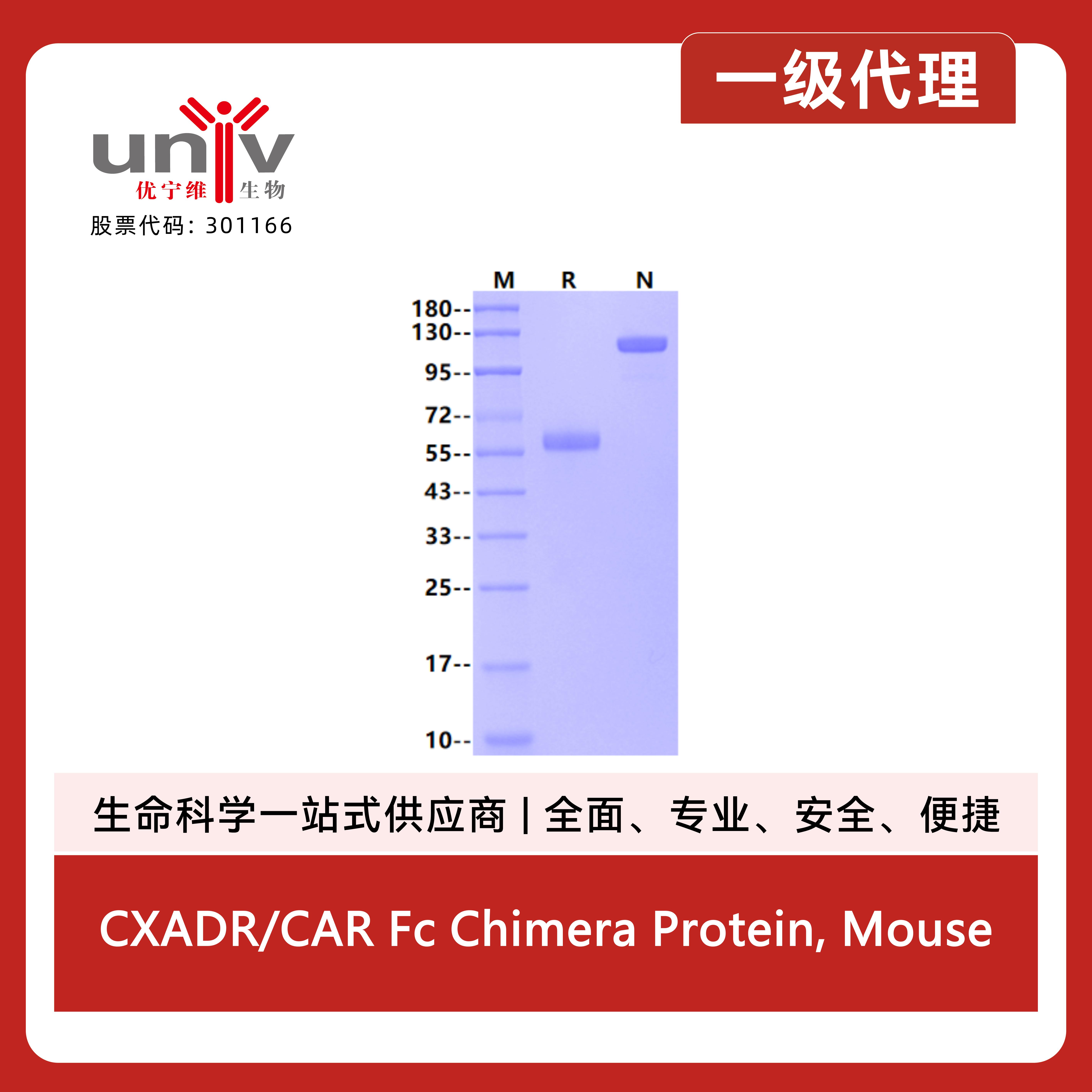 产品细节图片1