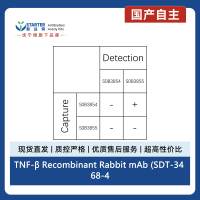 TNF‑β Recombinant Rabbit mAb (SDT-3468-44)