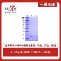 IL-2(Cys145Ser) Protein, Human