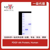 PDGF-AA Protein, Human