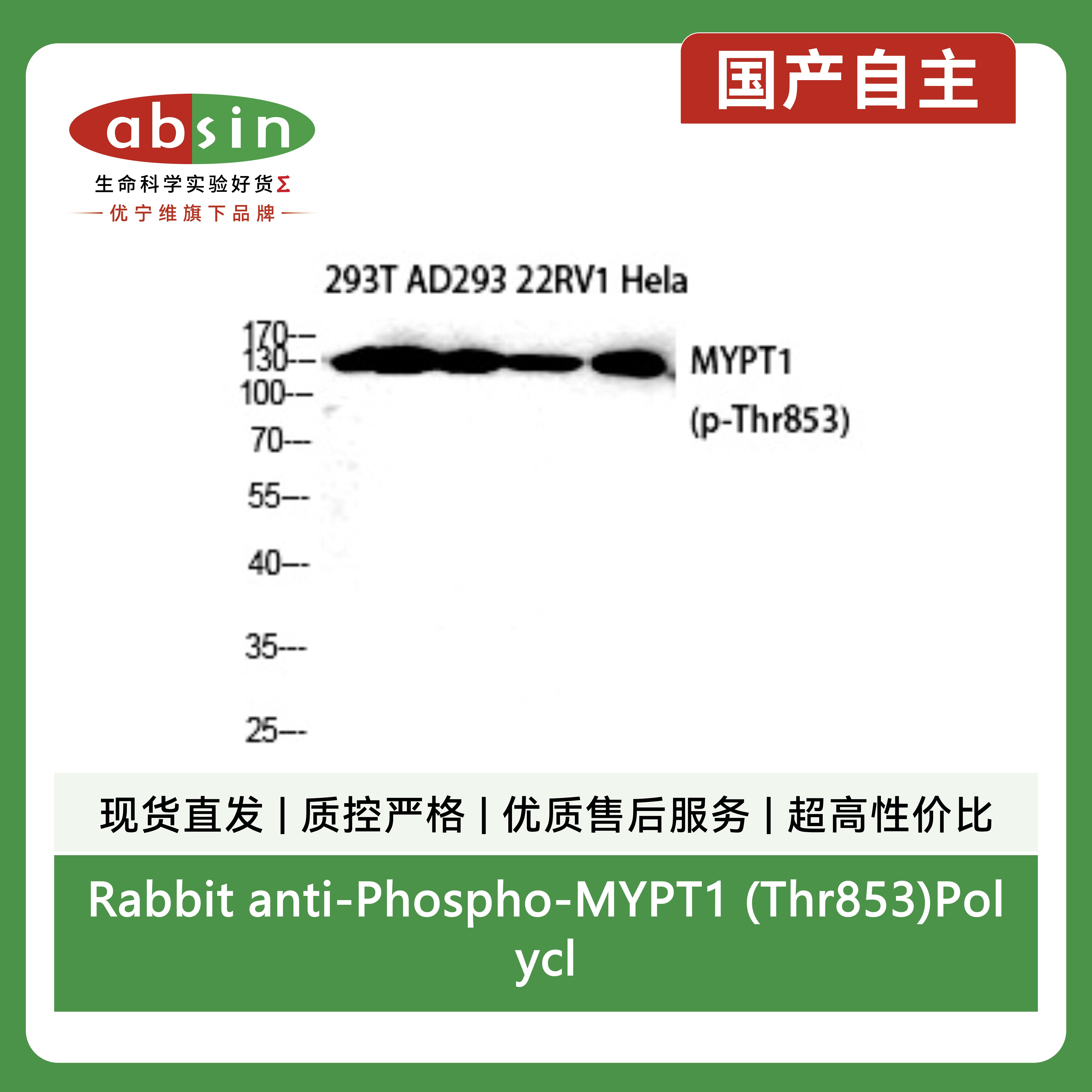 产品细节图片2