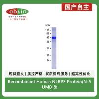 Recombinant Human NLRP3 Protein(N-SUMO & C-His)