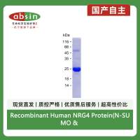 Recombinant Human NRG4 Protein(N-SUMO & C-His)