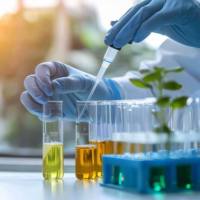 多酚类化合物检测 / 多酚组分分析 / Polyphenol Profiling