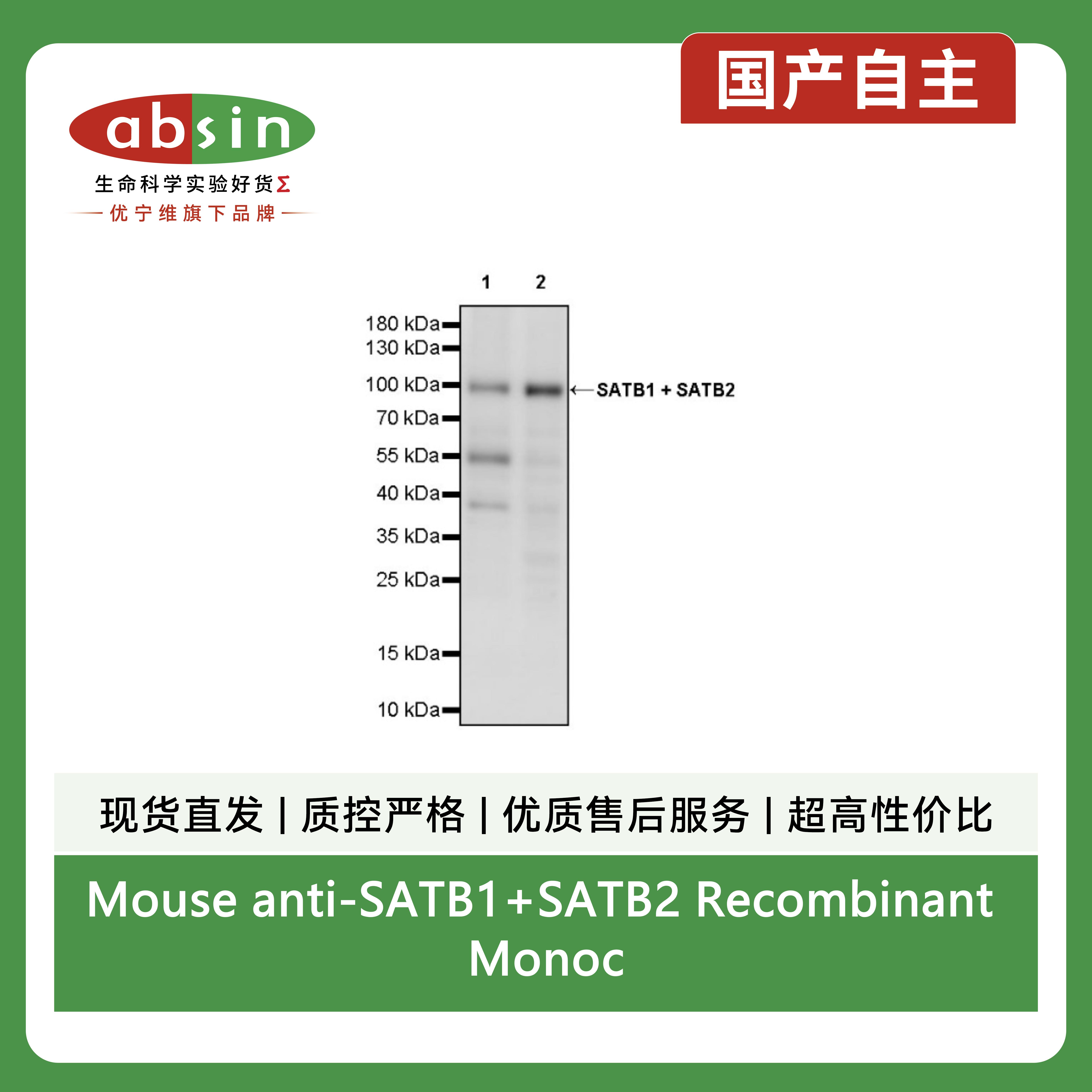 产品细节图片2