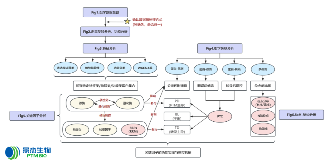 三大方案全景覆盖：农口生信分析一站式解决方案