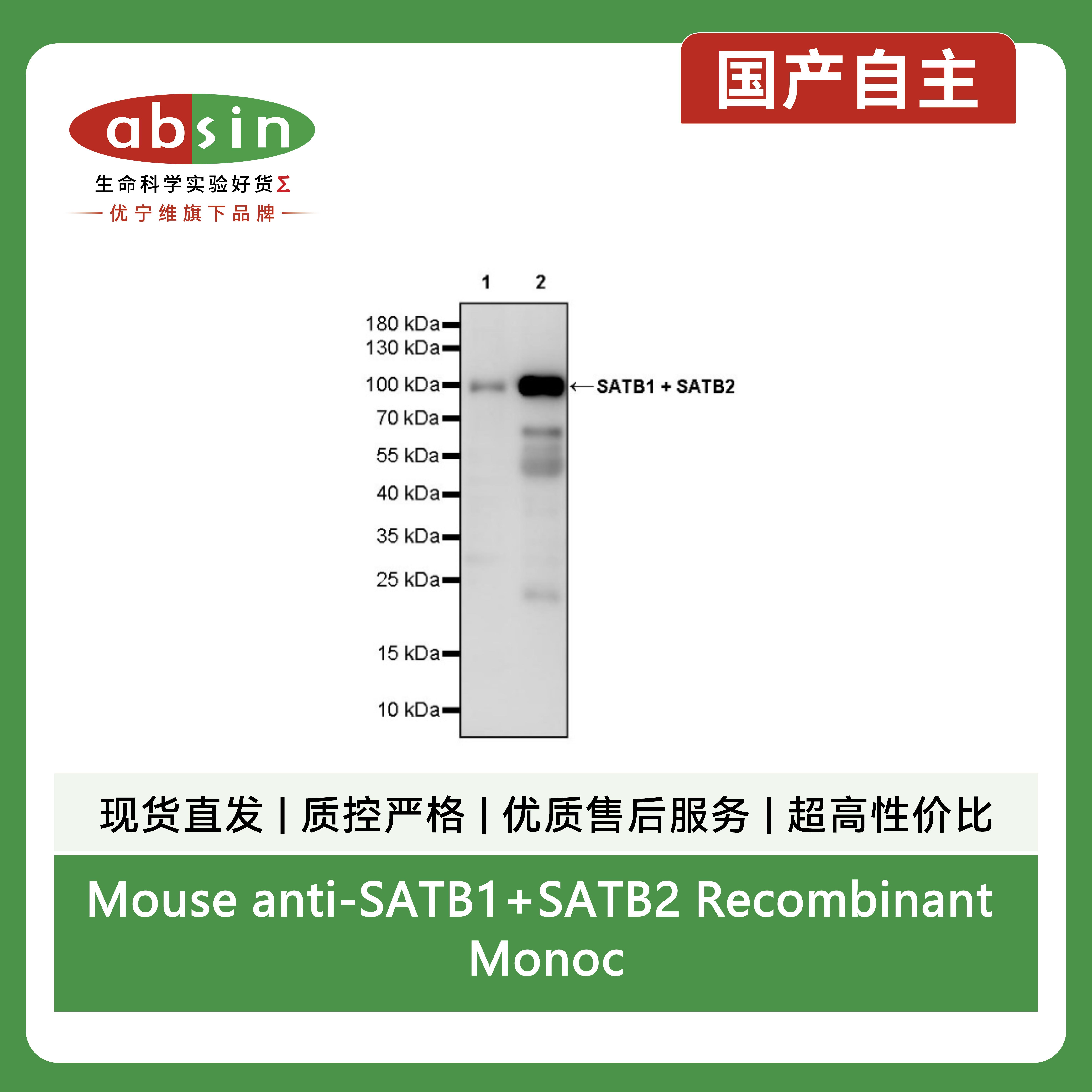 产品细节图片1