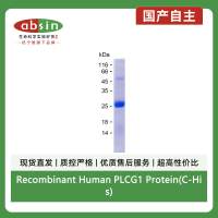 Recombinant Human PLCG1 Protein(C-His)