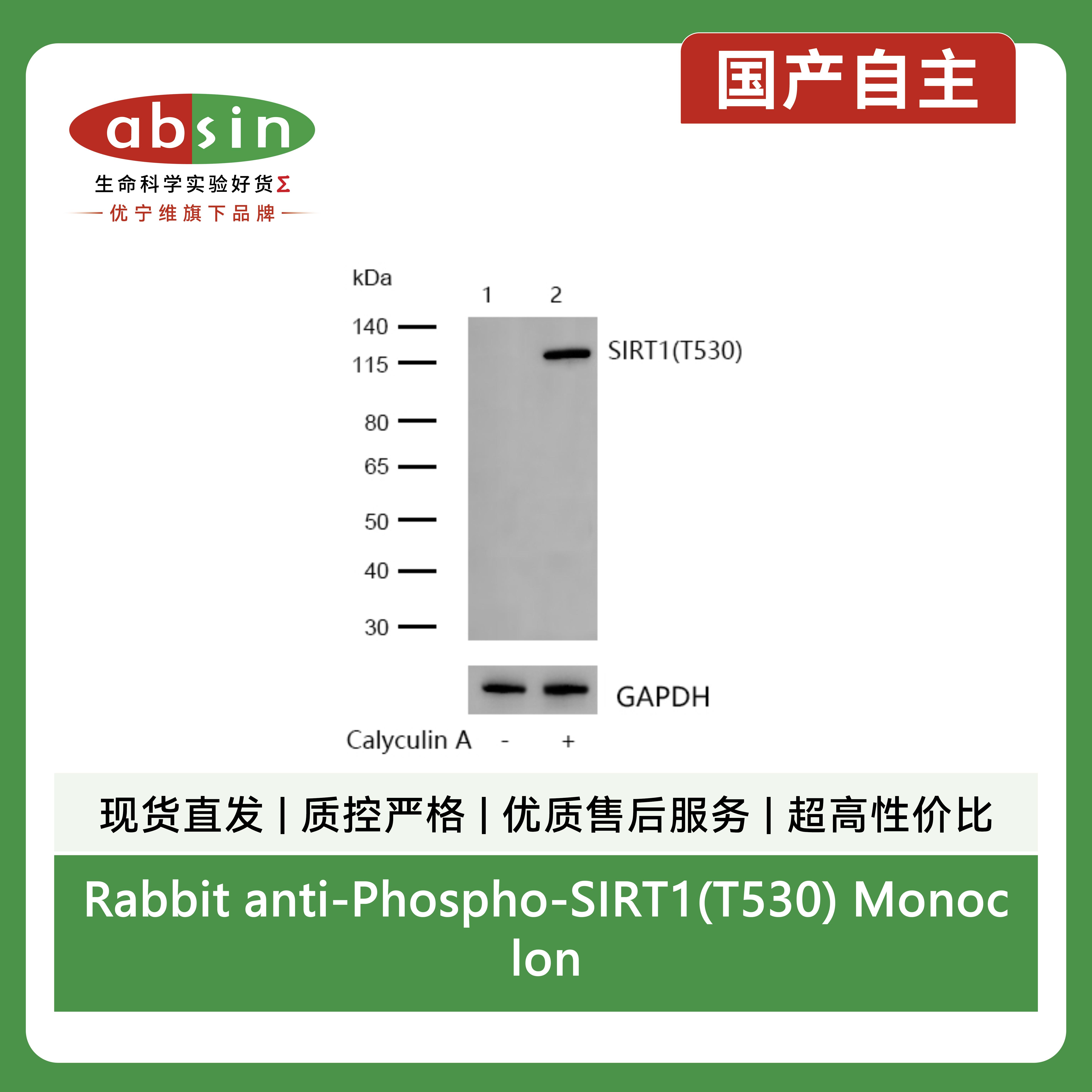 产品细节图片2
