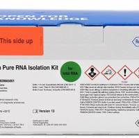 Roche 11828665001 HP RNA Isolation Kit