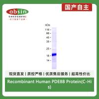 Recombinant Human PDE8B Protein(C-His)