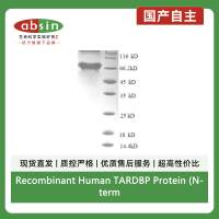 Recombinant Human TARDBP Protein (N-terminal GST)