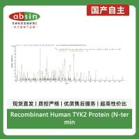 Recombinant Human TYK2 Protein (N-terminal 10xHis and C-terminal Myc)