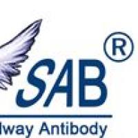 SAB细胞因子70103 Recombinant Human IL-3上海睿安生物19121878899