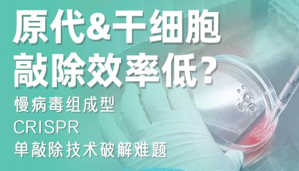 原代&干细胞敲除效率低？慢病毒组成型CRISPR单敲除技术破解难题