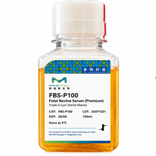 Morase Biotech 超特级胎牛血清 FBS-P100