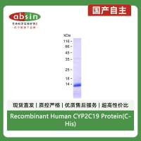 Recombinant Human CYP2C19 Protein(C-His)