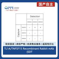 TL1A/TNFSF15 Recombinant Rabbit mAb (SDT-3151-105)