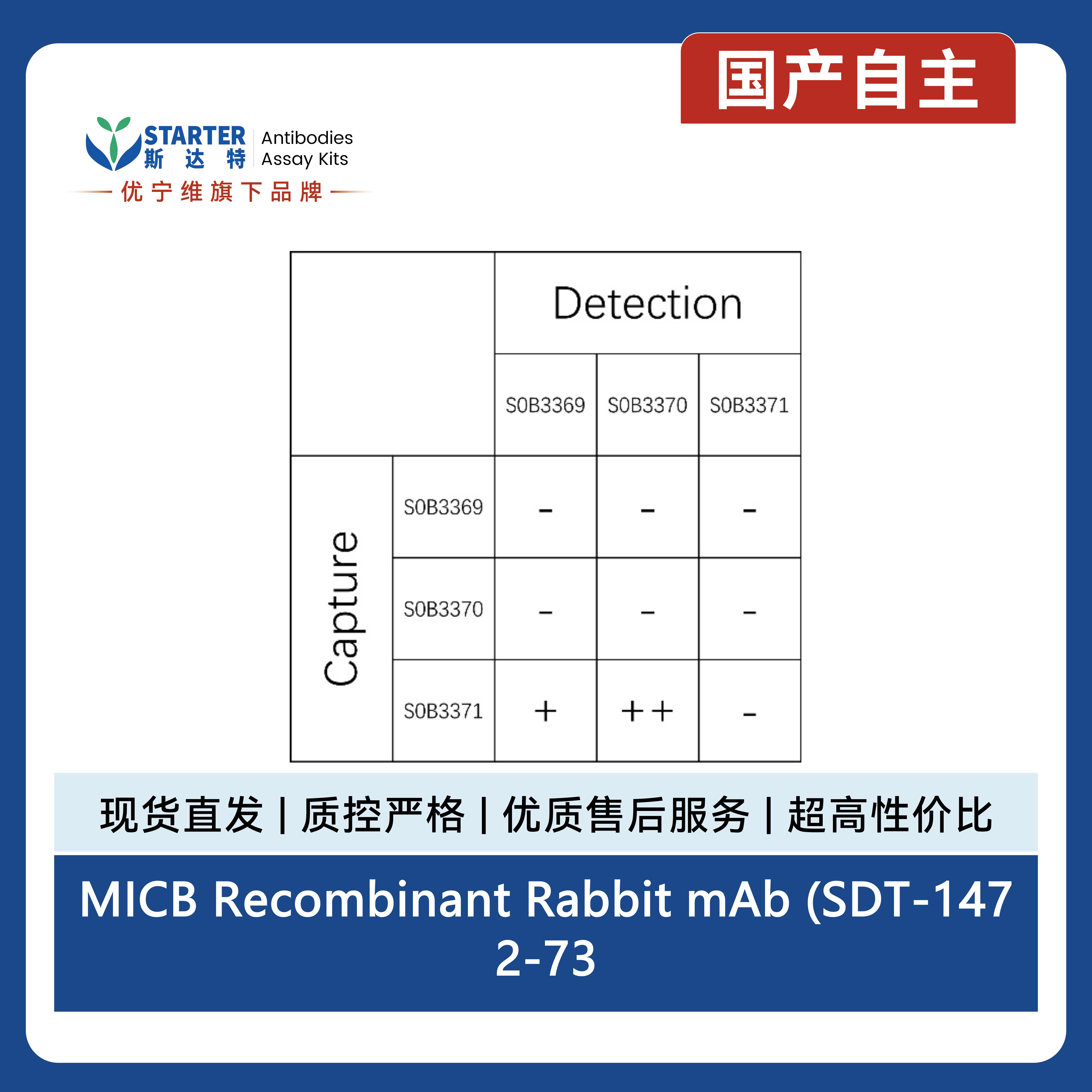MICB Recombinant Rabbit mAb (SDT-1472-73)产品图