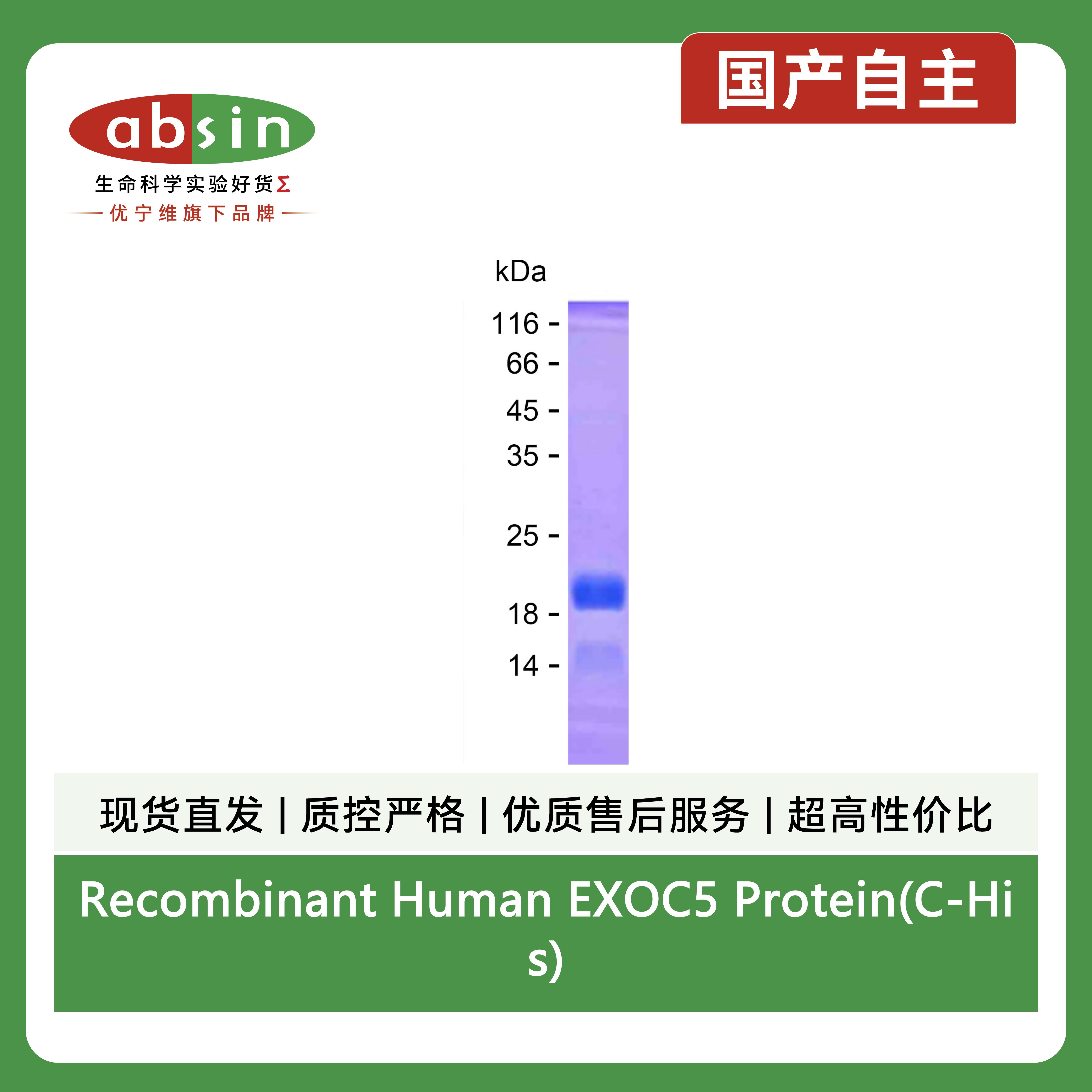 产品细节图片1