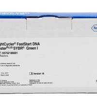 Roche 7683308001 LightMix Modular Parainfluenza 2 (hPIV-2) L gene