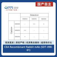 CEA Recombinant Rabbit mAb (SDT-098-61)