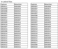 SARS-CoV-2 Nucleocapsid Protein Mouse mAb (SDT-092-27)