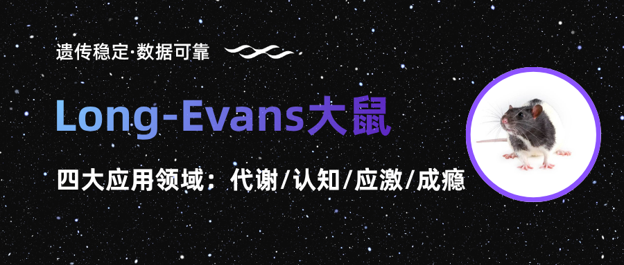 火眼金睛、聪明伶俐的 Long-Evans 大鼠如何帮您拿到更可靠的数据？