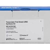 Roche 4801024001 LightCycler® 480 Melt Control Mix