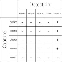 ApoE Recombinant Rabbit mAb (SDT-1849-73-2)