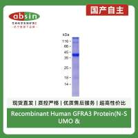 Recombinant Human GFRA3 Protein(N-SUMO & C-His)