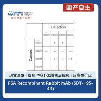 PSA Recombinant Rabbit mAb (SDT-195-44)