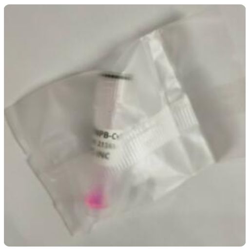 TelC-Cy3C-rich 端粒 PNA 探针（Cy3 标记） F1002
